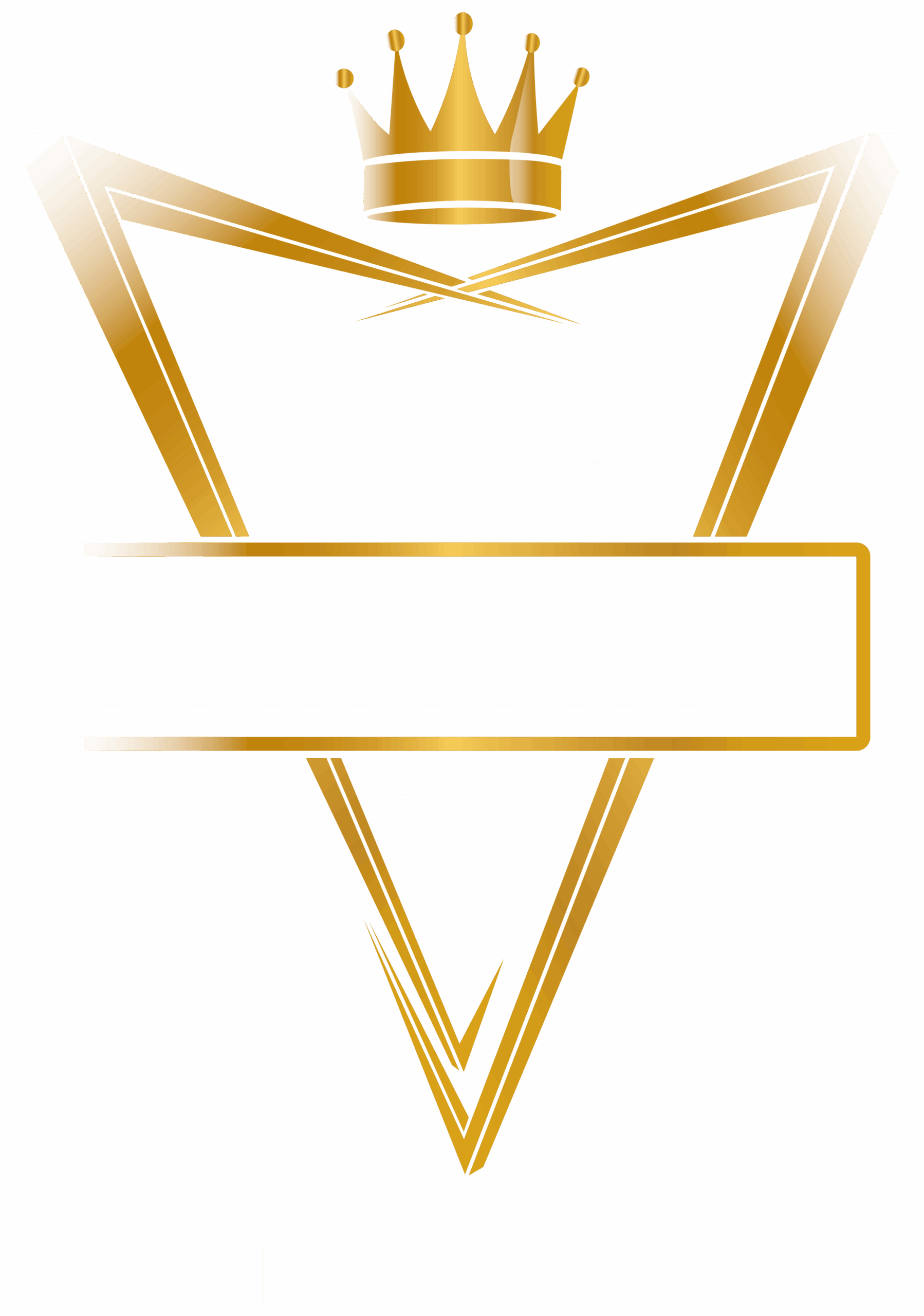 The Vip Painting INC-LOGO-PNG