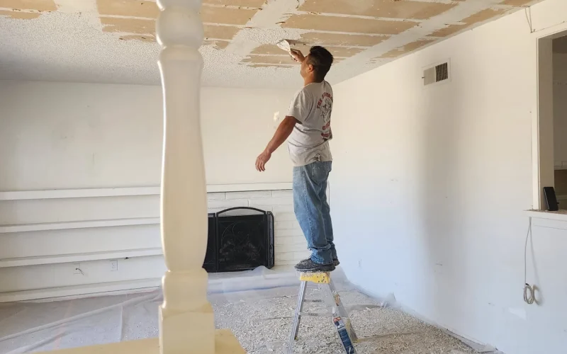 The VIP Painting INC (30)